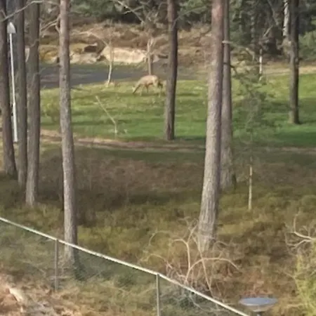 Privat overnatting Private Bedroom Moss