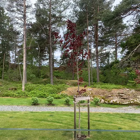 Privat Rom Ved Sykehus *
