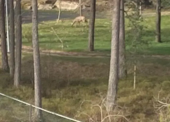 Privat overnatting Private Bedroom Moss